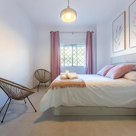 Parrot * トロクス・コスタ